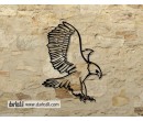 Hawk